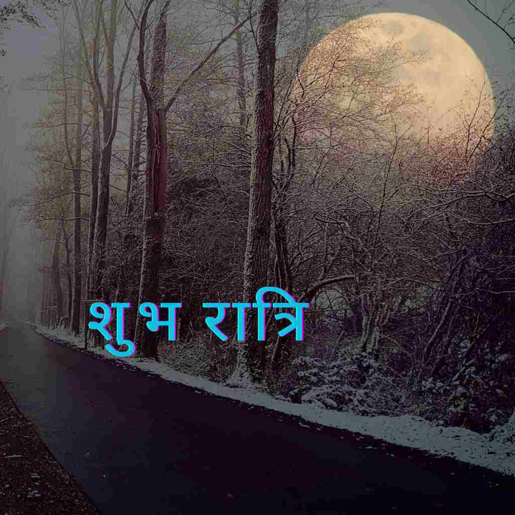 Full moon is in the sky upon the forest with Good Night Hindi Image.