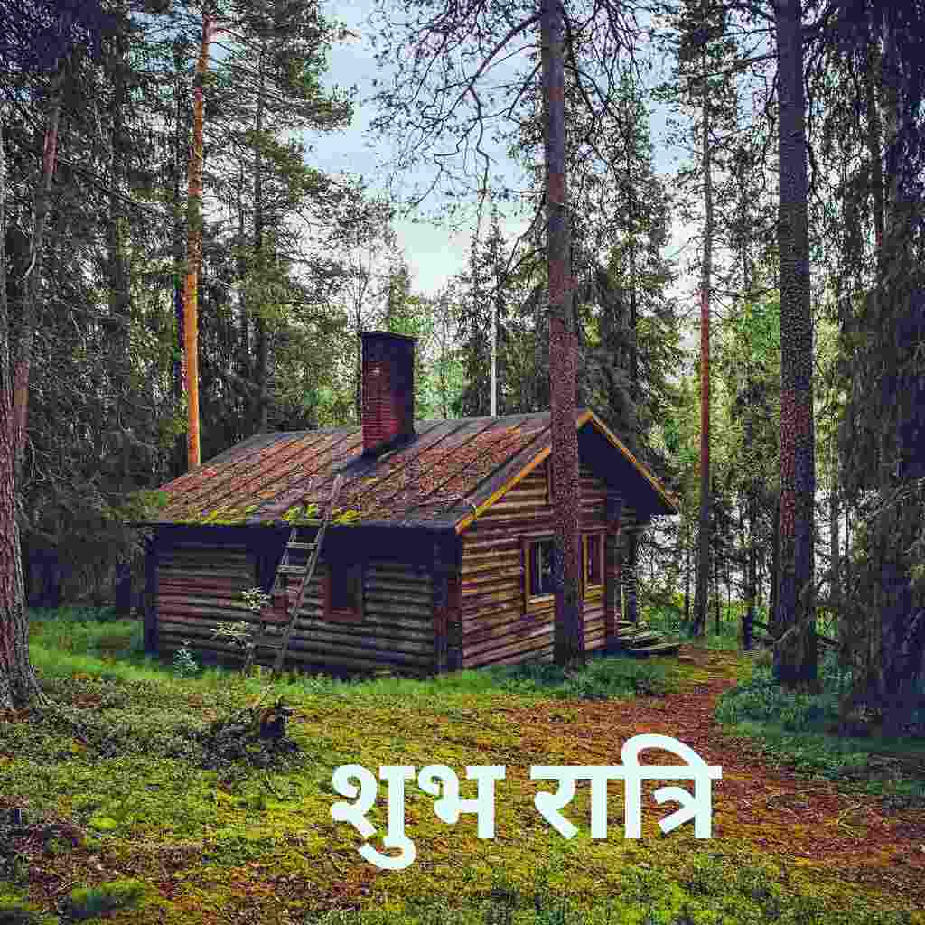 A cottage is in the garden with Good Night Hindi Image.