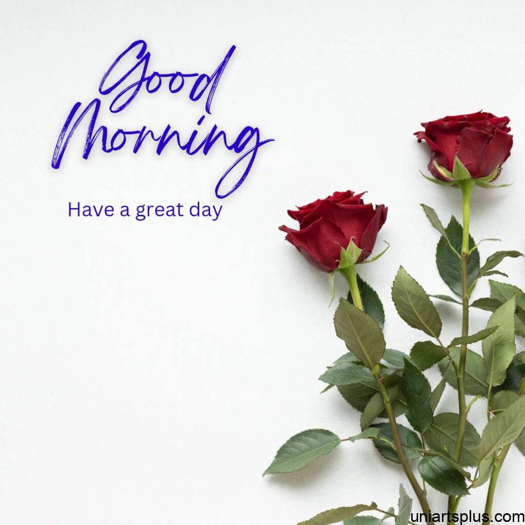 Two rose flowers bunch with a good Morning Image 