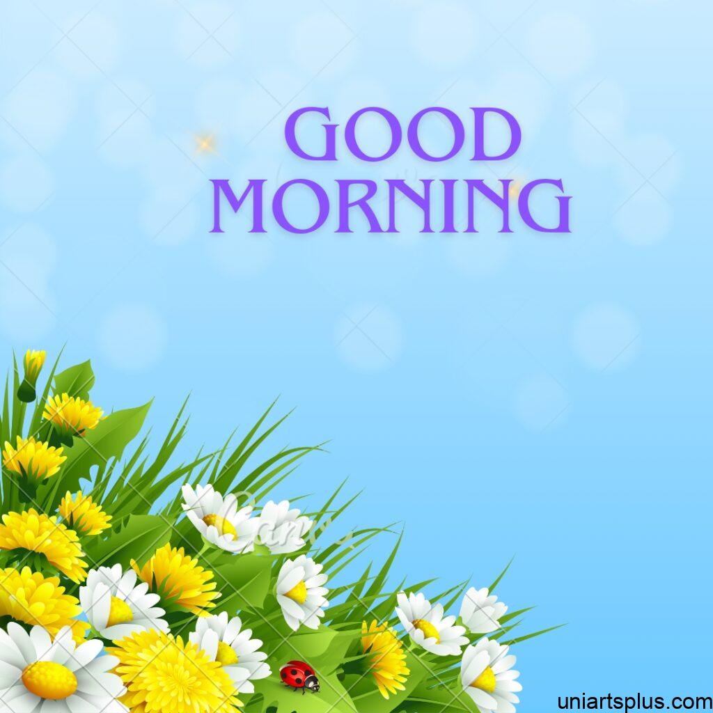 Yellow and white flowers bunch with Good Morning Image 