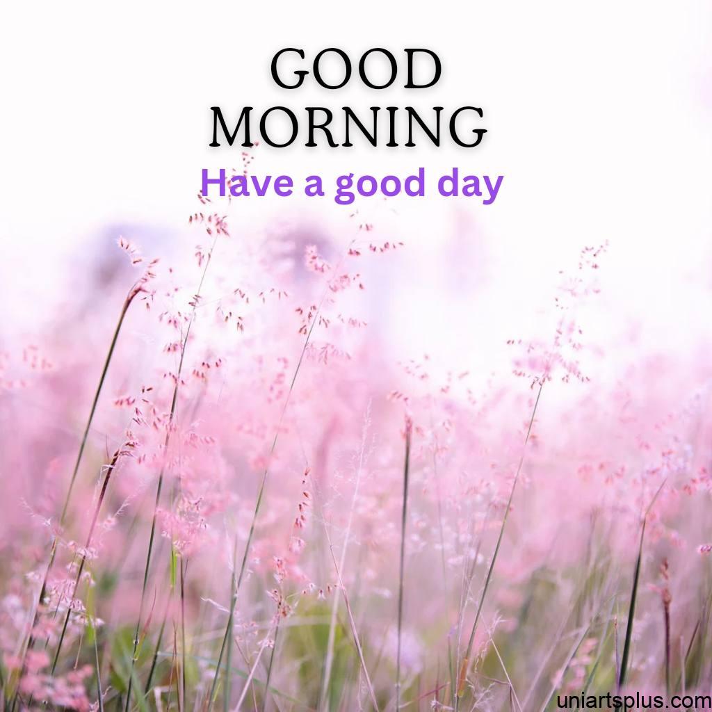 Beautiful pink flowers Image with Good morning wishes.