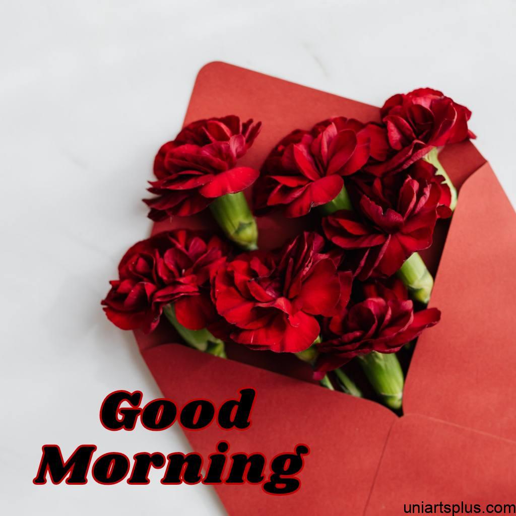 Charming rose flowers outcoming from a envelope with Good morning wishes.